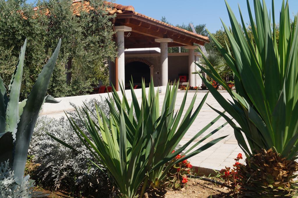 Apartments Tomic Biograd Na Moru Rum bild